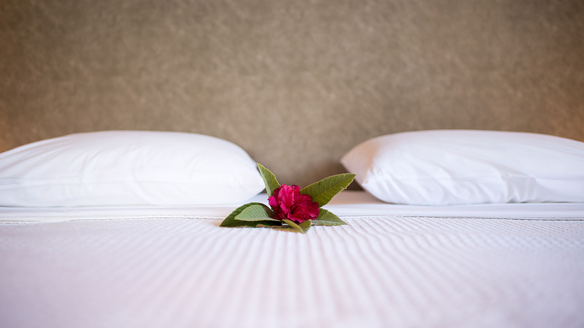 Superior Bungalow Beach Front